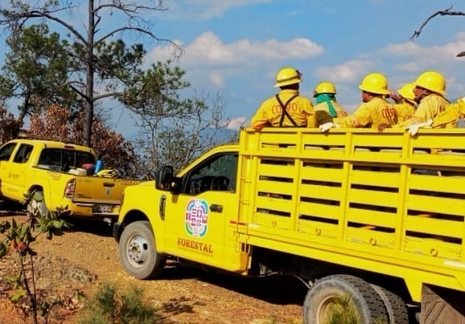 Atienden reporte de incendio forestal en la Sierra de Flores Magón y Sierra de Juárez