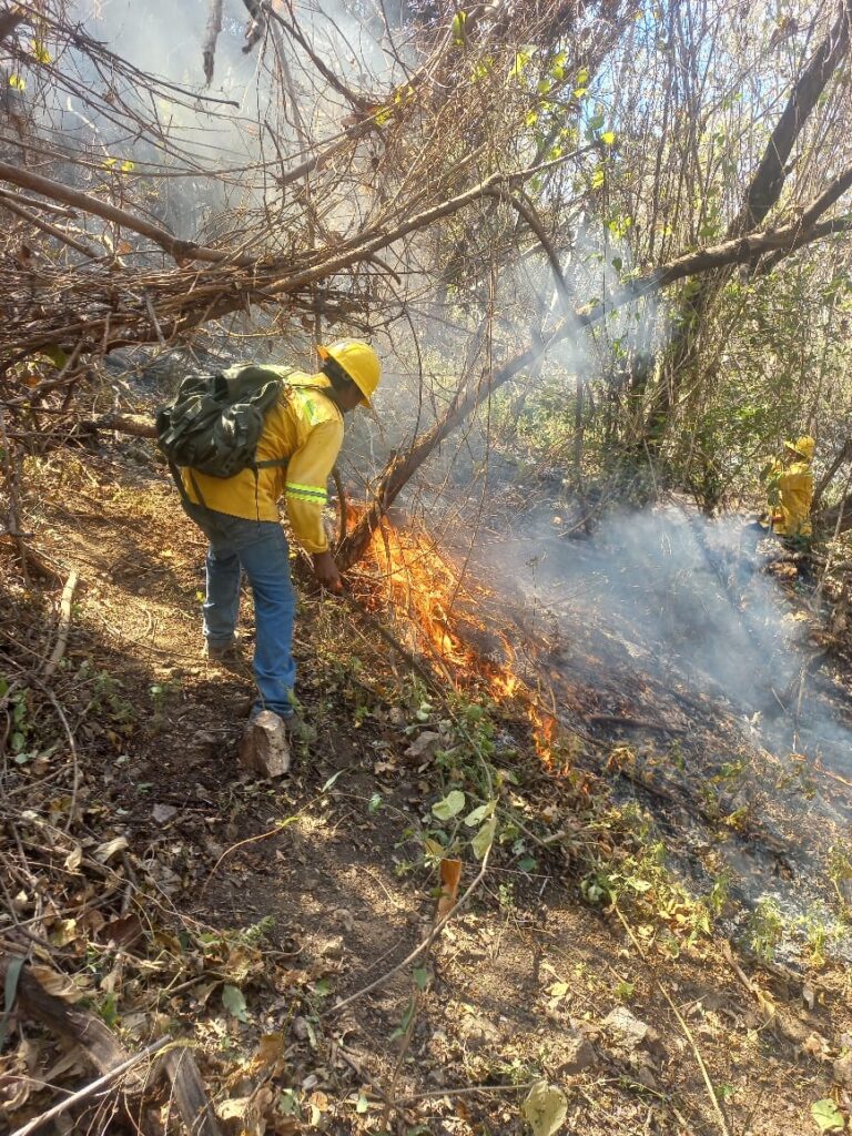 Liquida Coesfo incendios en la Cuenca y la Costa