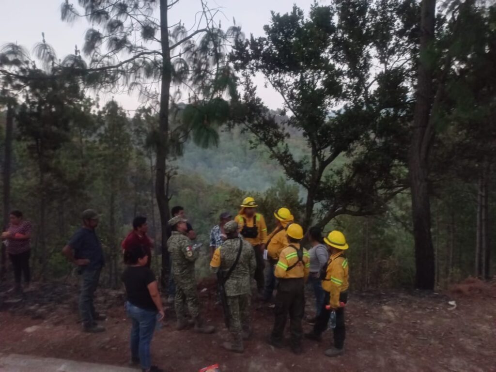 Liquida Coesfo incendio forestal en los Loxichas; atienden reporte en Santa María Sola