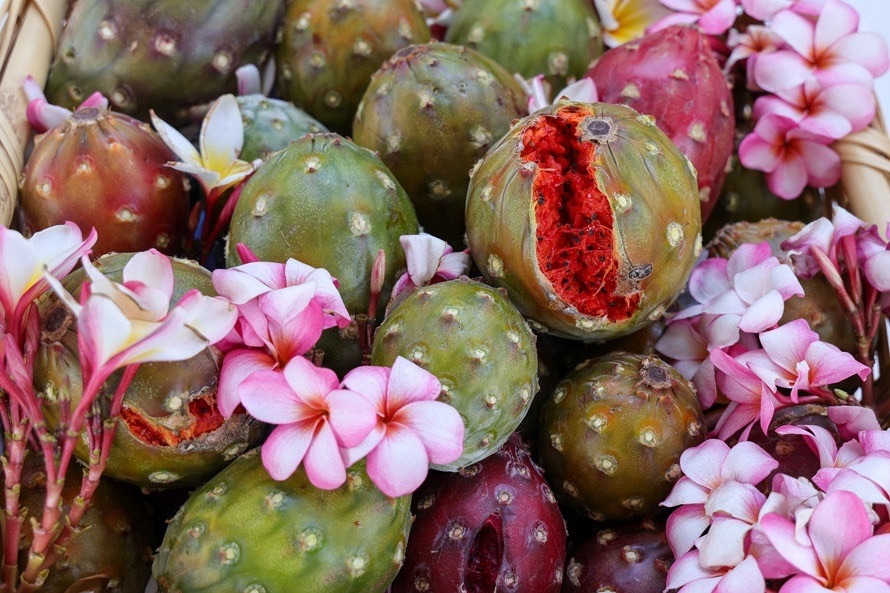 Santo Domingo Tianguistengo, medio siglo celebrando la Feria de la Pitaya