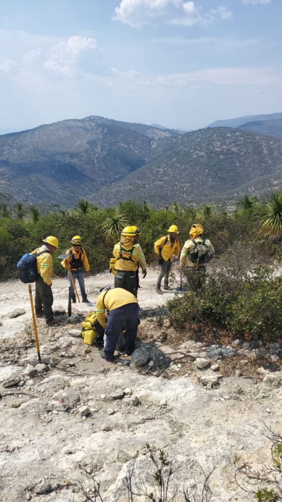 Controlado al 100% incendio forestal de Tepelmeme Villa de Morelos