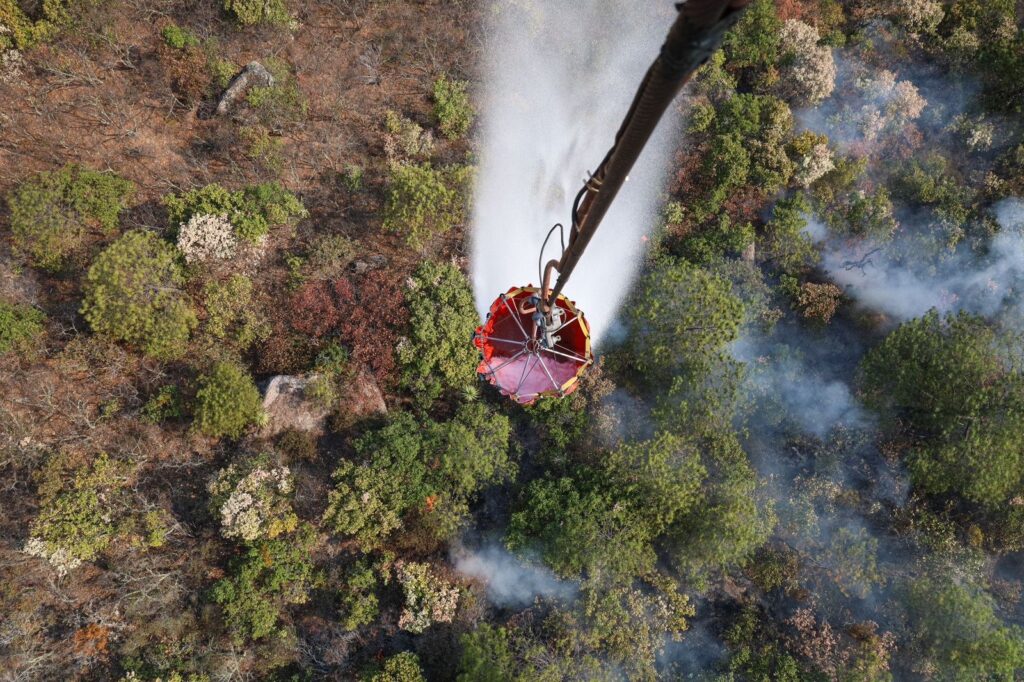 Controlado al 100% incendio forestal en San Pablo Villa de Mitla y Villa Díaz Ordaz