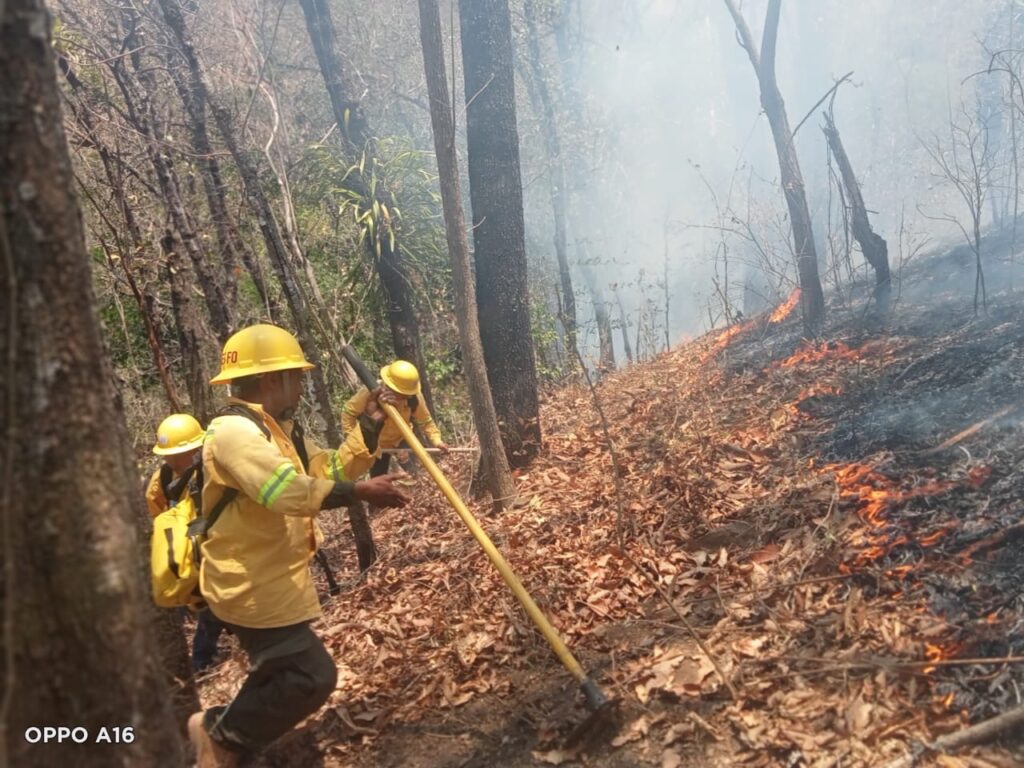 Controla y liquida Coesfo incendio forestal en la Costa