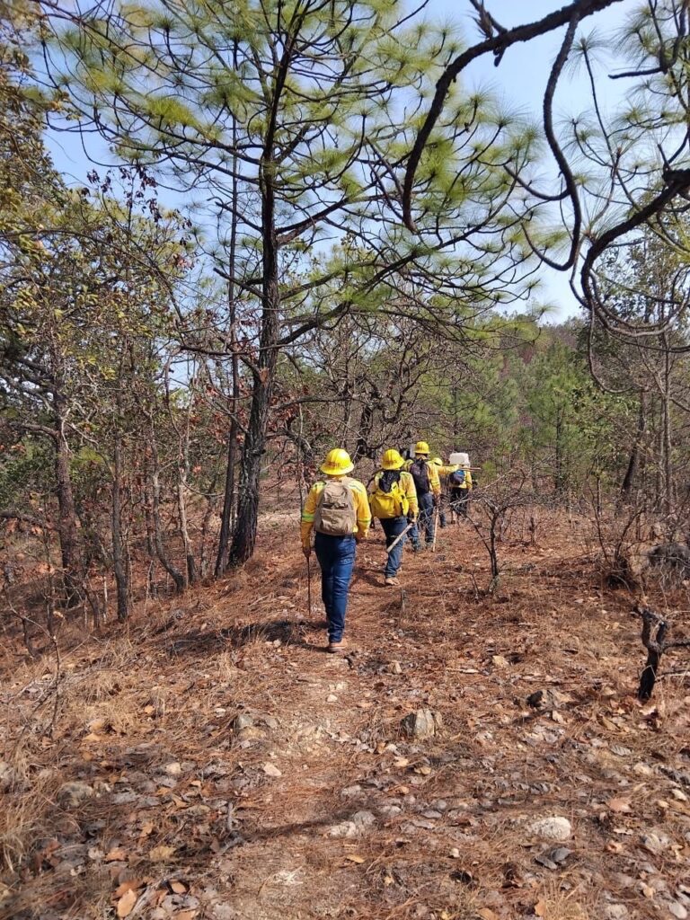 Controlan personas comuneras y Coesfo incendio forestal en la Mixteca al 100%