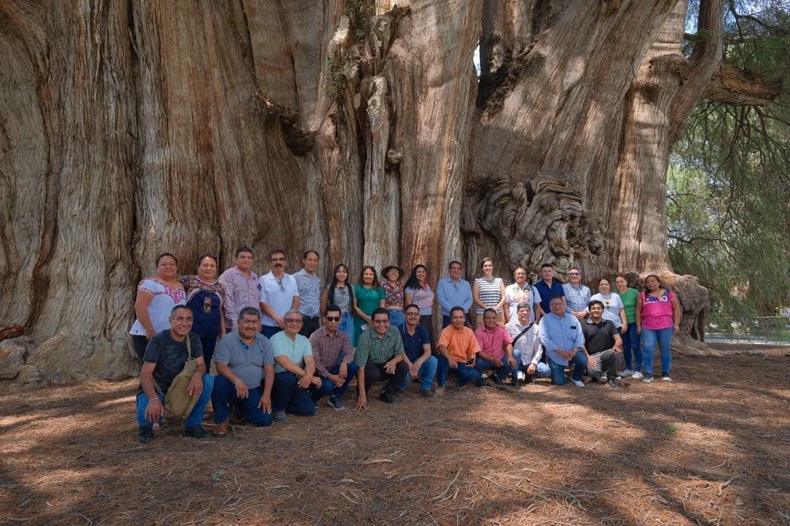 Instalan Comité para la atención del milenario Árbol del Tule