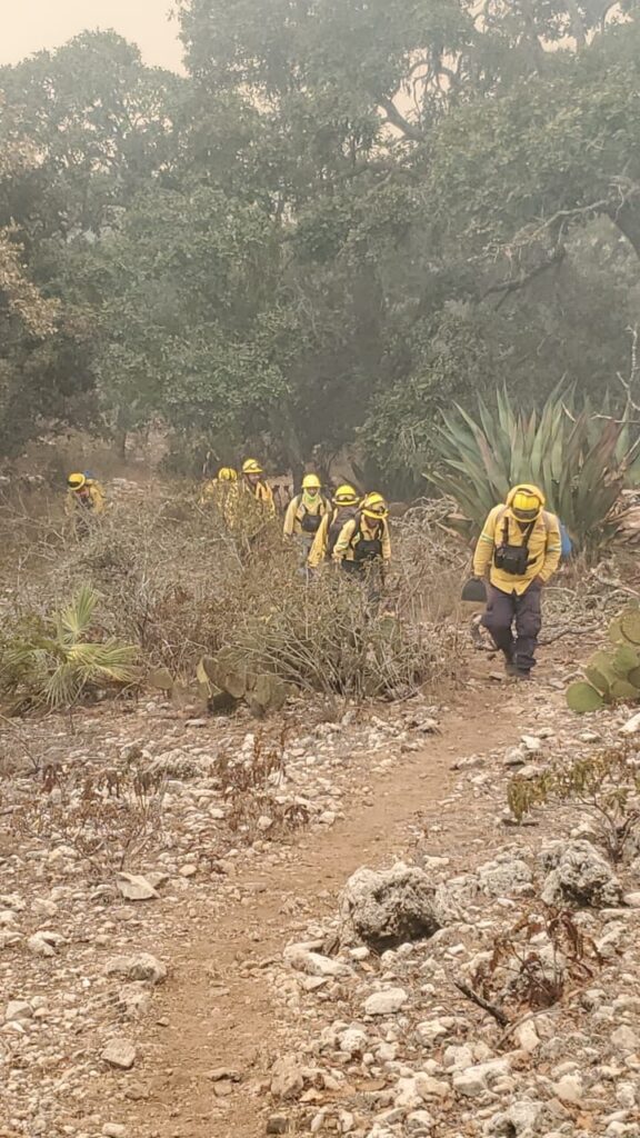 Combaten de manera crucial reactivación de incendio en Tepelmeme Villa de Morelos