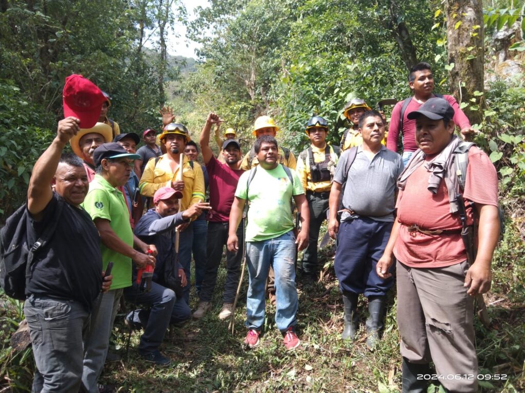 Controlado en su totalidad complejo de incendios forestales en la Sierra de Flores Magón