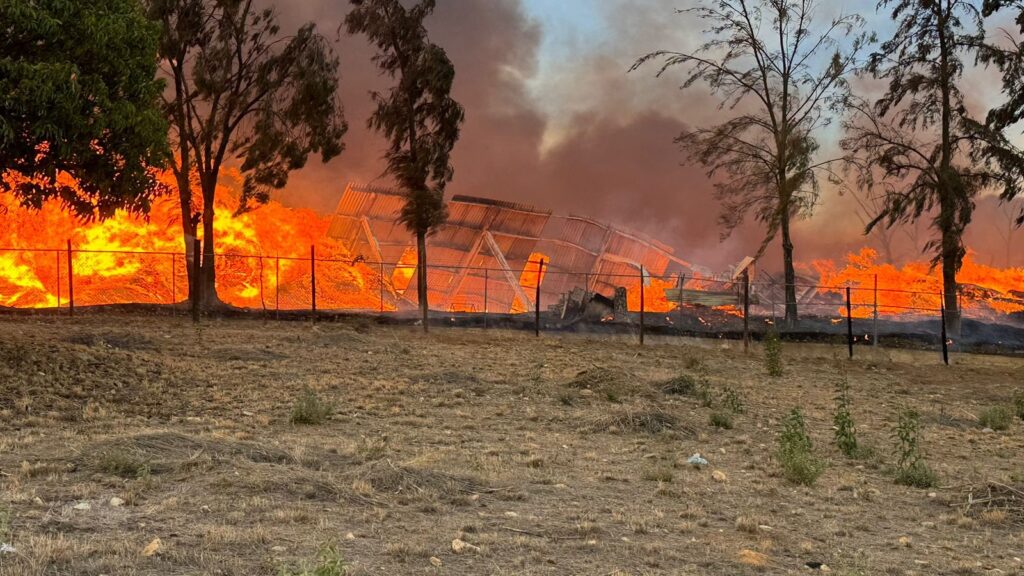 Trabajan para sofocar incendio en aserradero de San Miguel Etla